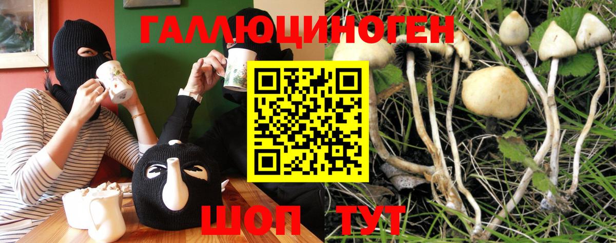 Галлюциногенные грибы MAGIC MUSHROOMS  Вход с VPN  закладка  Тулун 